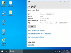 技術員 Windows10 LTSC X86 安裝7月版