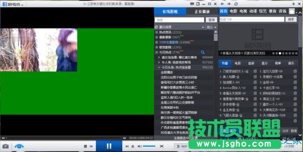 Win8升級Win8.1后播放視頻綠屏怎么辦？