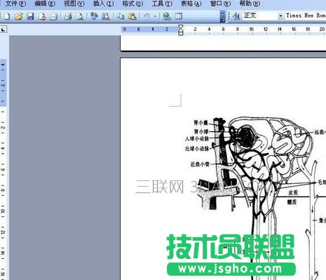 ppt無法顯示圖像解決方案