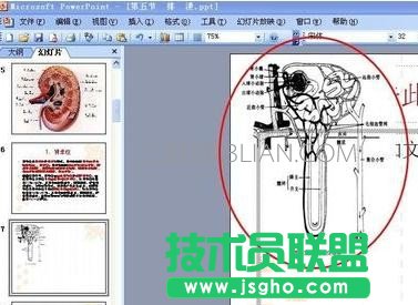 ppt無法顯示圖像解決方案