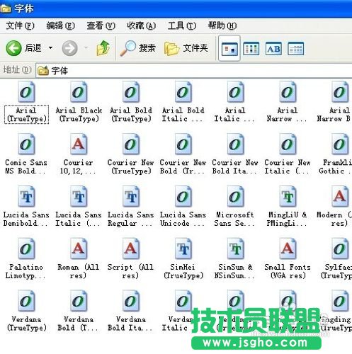 新蘿卜家園windows xp系統(tǒng)字體更改方法(10)