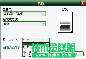 WPS文字頁碼設(shè)置教程