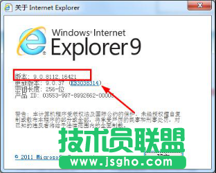xp系統(tǒng)的ie瀏覽器版本查看方法