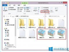 Win8快速查看隱藏文件的絕招