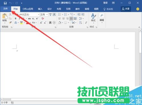 Word2016中添加開發(fā)工具選項(xiàng)卡到界面顯示的方法