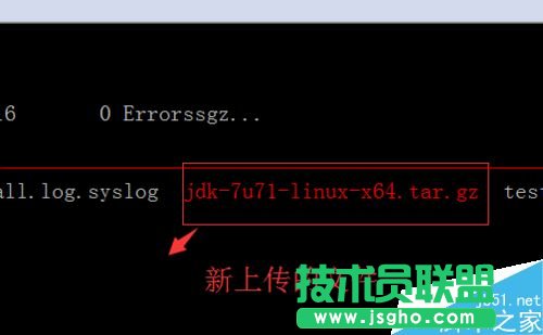 linux系統(tǒng)怎么用SecureCRT上傳和下載文件？