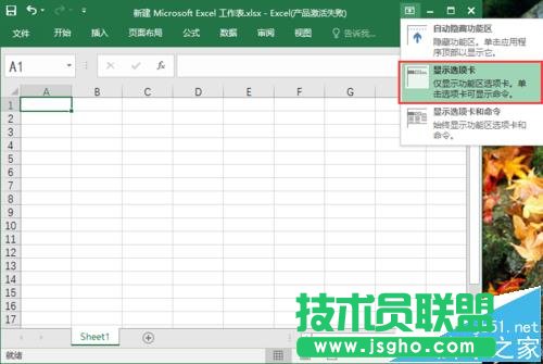 excel2016工具欄怎么顯示/隱藏?