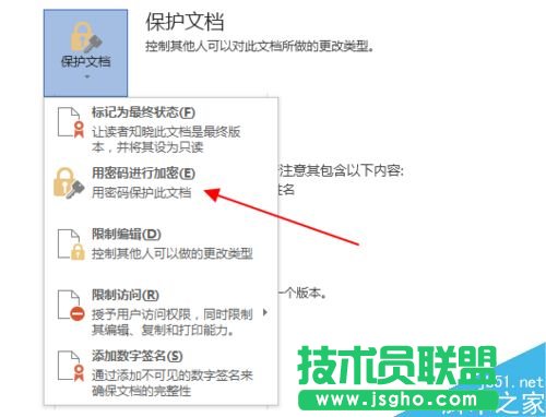 word2013文檔怎么加密?