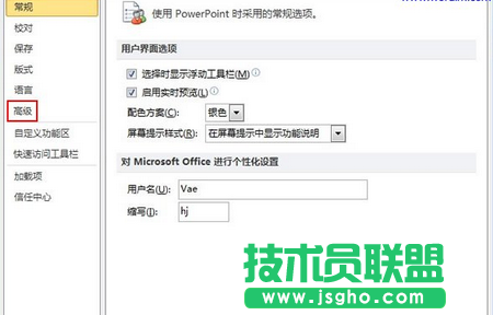 Power Point選項(xiàng)窗口左側(cè)的“高級”