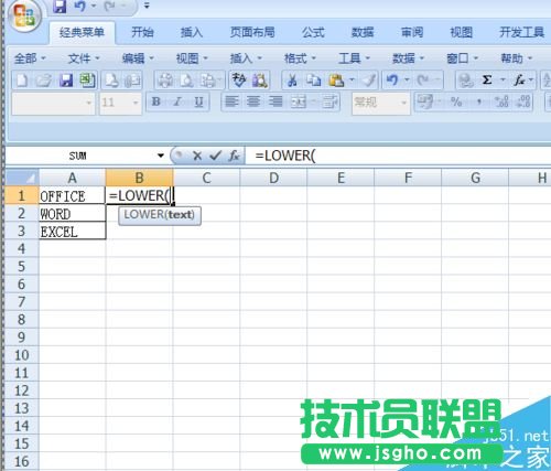 在Excel表格中如何使用Lower函數呢?