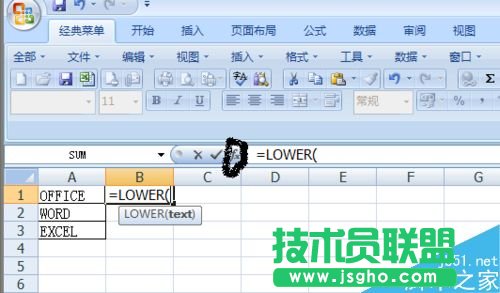 在Excel表格中如何使用Lower函數(shù)呢?