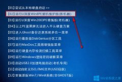 Win8系統(tǒng)PE硬盤如何低格？Win8系統(tǒng)PE硬盤低格方法