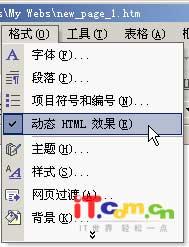 FrontPage基礎(chǔ)教程特效按鈕的制作(3)