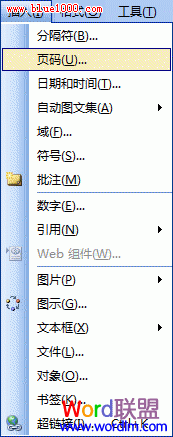 Word2003文檔如何添加頁碼 三聯(lián)