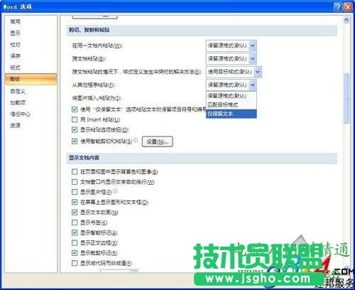 Word2010過濾網(wǎng)頁上的超鏈接和圖片方法